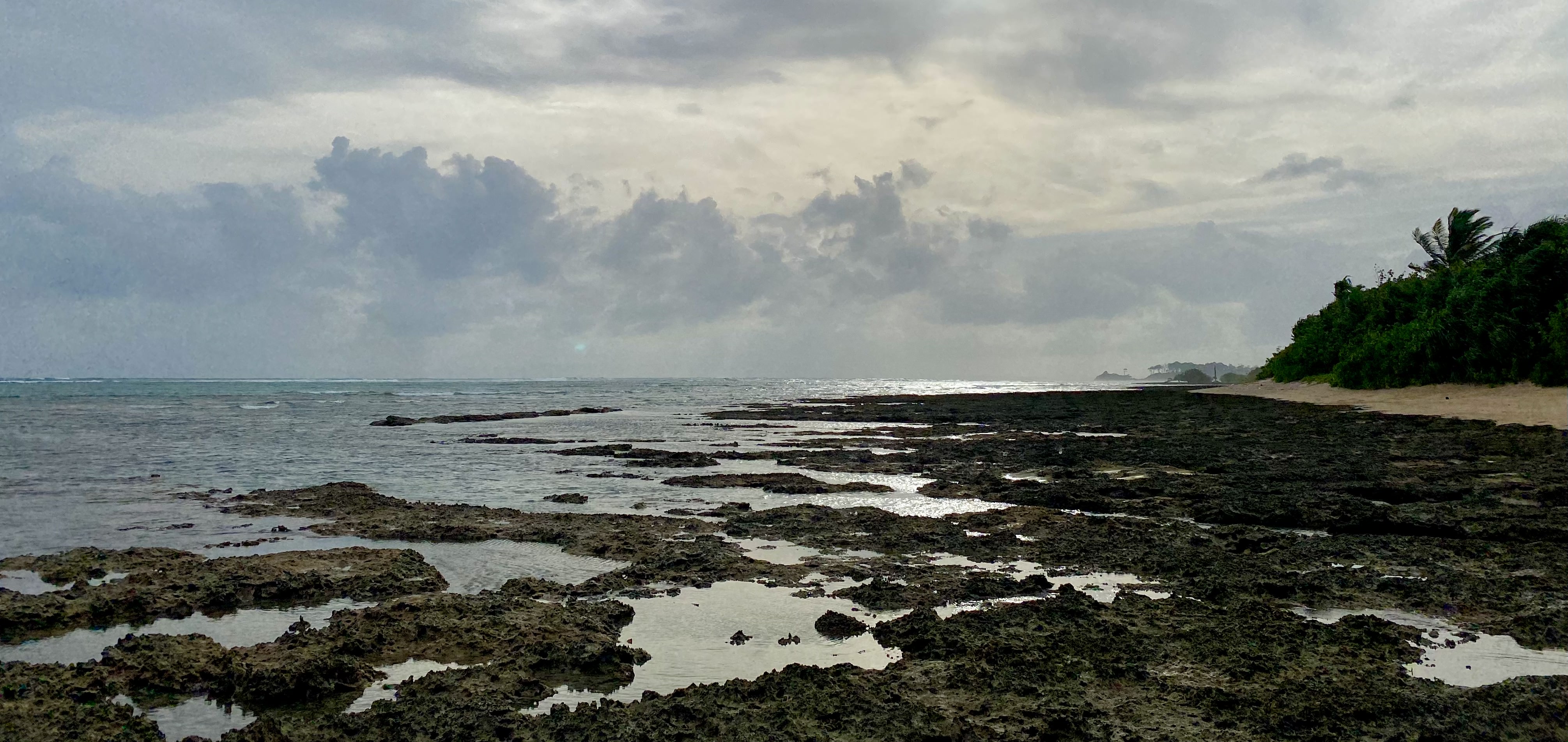 Cover Photo
